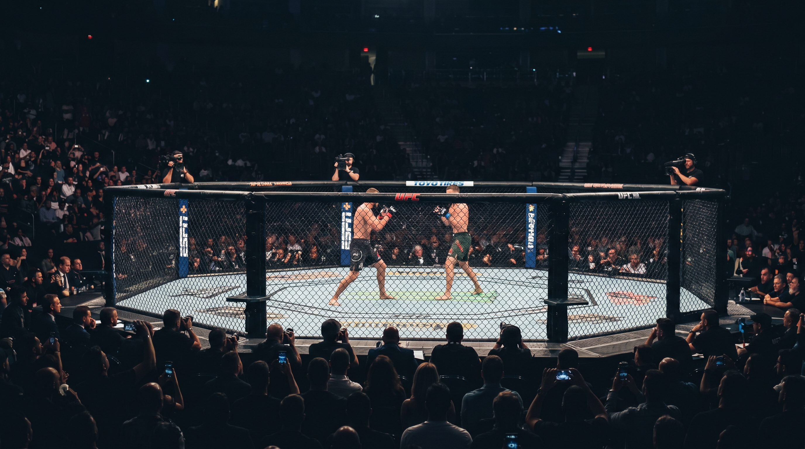 ufc betting